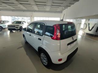 FIAT Panda usata, con Autoradio