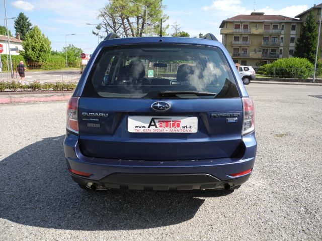 SUBARU Forester usata 78