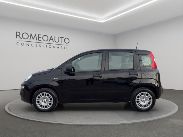 FIAT Panda usata, con Airbag Passeggero