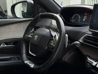 PEUGEOT 3008 usata, con Vetri oscurati