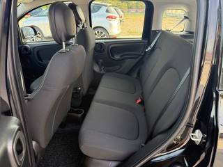 FIAT Panda usata 16