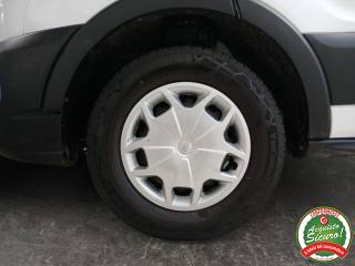FORD Transit usata, con Fendinebbia