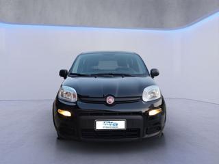 FIAT Panda usata, con Airbag Passeggero