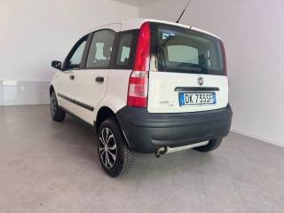 FIAT Panda usata 4