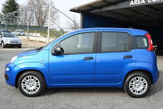 FIAT Panda usata, con Climatizzatore