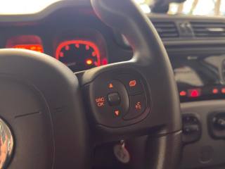 FIAT Panda usata, con Airbag testa