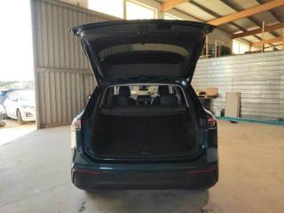 VOLKSWAGEN Tiguan usata, con Chiusura centralizzata
