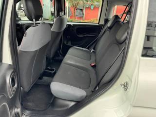 FIAT Panda usata, con Volante multifunzione