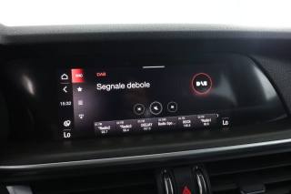 ALFA ROMEO Stelvio usata 10