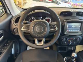 JEEP Renegade usata, con Controllo automatico clima