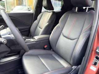 LEXUS LBX usata, con Interni in pelle