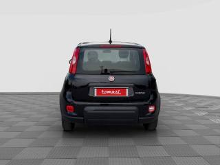 FIAT Panda usata 3