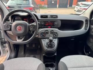 FIAT Panda usata, con Volante multifunzione