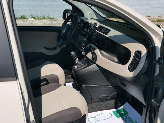 FIAT Panda usata 19