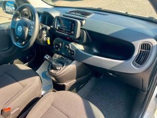 FIAT Panda usata, con Sensori di parcheggio posteriori