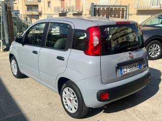 FIAT Panda usata 14