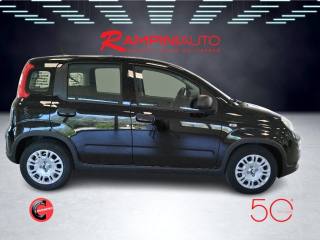 FIAT Panda usata 5