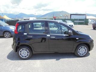 FIAT Panda usata, con Riconoscimento dei segnali stradali