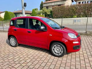FIAT Panda usata, con Airbag Passeggero