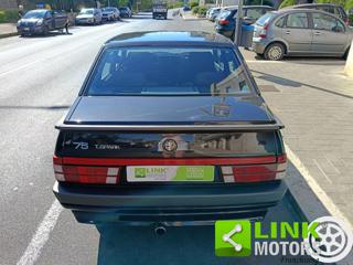 ALFA ROMEO 75 usata 13