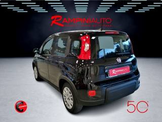 FIAT Panda usata 10