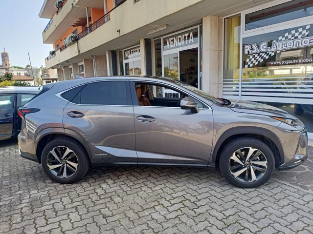 LEXUS NX 300 usata, con Fari Xenon