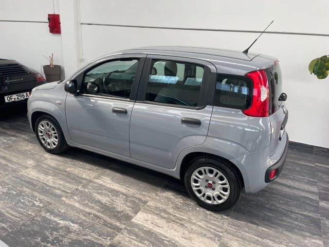 FIAT Panda usata, con Alzacristalli elettrici