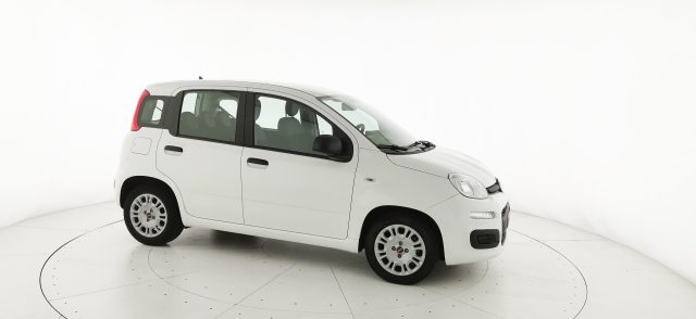 FIAT Panda usata 49