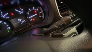 PEUGEOT Traveller usata, con Filtro antiparticolato