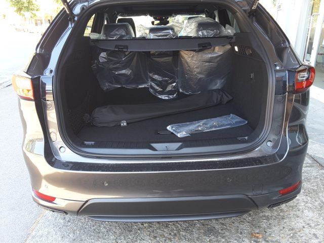 MAZDA CX-60 usata, con Servosterzo