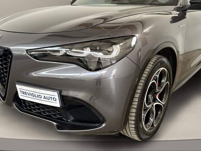 ALFA ROMEO Stelvio usata, con Leve al volante