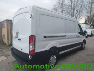FORD Transit usata, con Fendinebbia