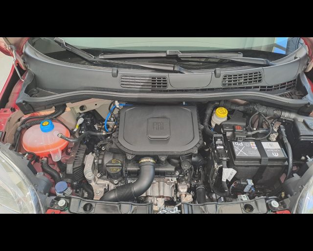 FIAT New Panda usata 26