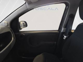 FIAT New Panda usata, con Immobilizzatore elettronico