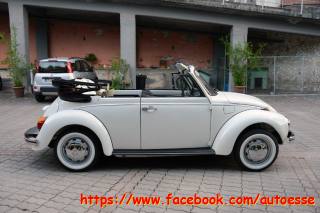 VOLKSWAGEN Maggiolone usata 4