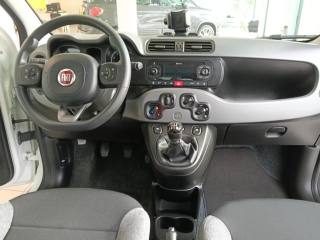 FIAT Panda usata, con ESP