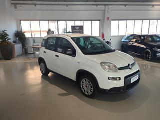 FIAT Panda usata, con Airbag Passeggero