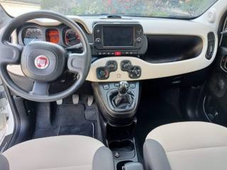 FIAT Panda usata, con Immobilizzatore elettronico