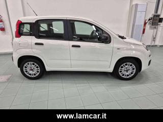 FIAT Panda usata, con ESP