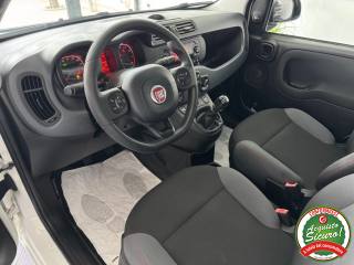 FIAT Panda usata, con Boardcomputer