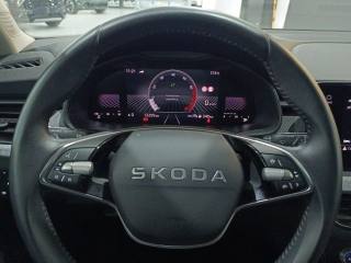SKODA Kamiq usata, con Fari LED