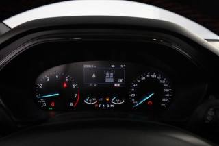 FORD Focus usata 6