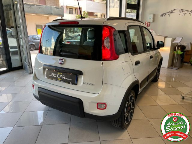 FIAT Panda usata 19
