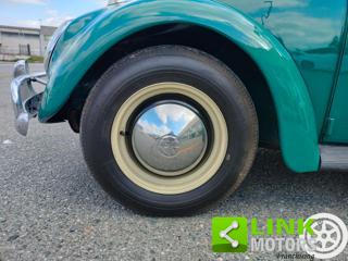 VOLKSWAGEN Maggiolino usata 25