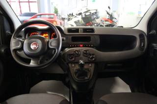 FIAT Panda usata, con Fendinebbia