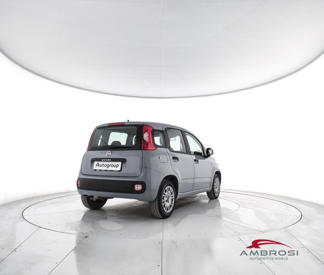 FIAT Panda usata 2
