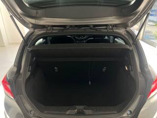 FORD Fiesta usata, con Controllo vocale