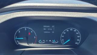 FORD Transit Custom usata, con Volante multifunzione