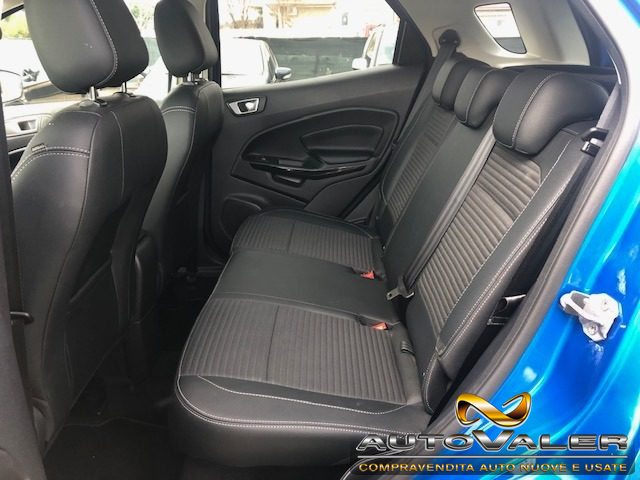 FORD EcoSport usata, con Cronologia tagliandi