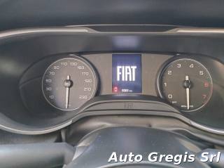FIAT Tipo usata, con Climatizzatore